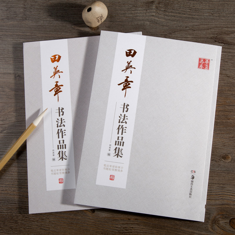 Ouyang Xun Brush Calligraphy C - Chinese Calligraphy Practice Book 评论和价格