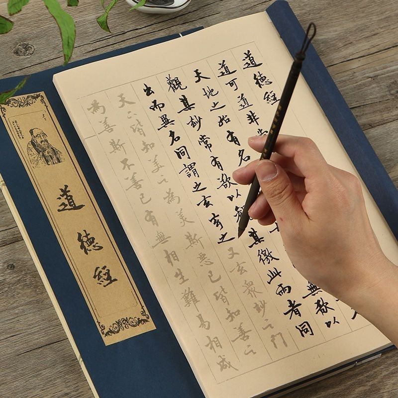 Brush Pen Copybooks Chinese Ch - Chinese Calligraphy Practice Book 评论和价格