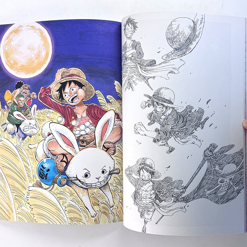 One Piece Illustration Book Co - Stationery Books 评论和价格