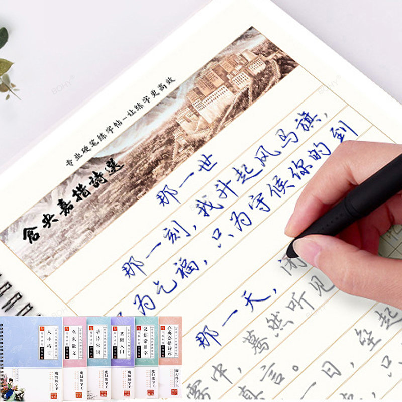 Chinese Characters Pen Calligr - Chinese Calligraphy Practice Book 评论和价格