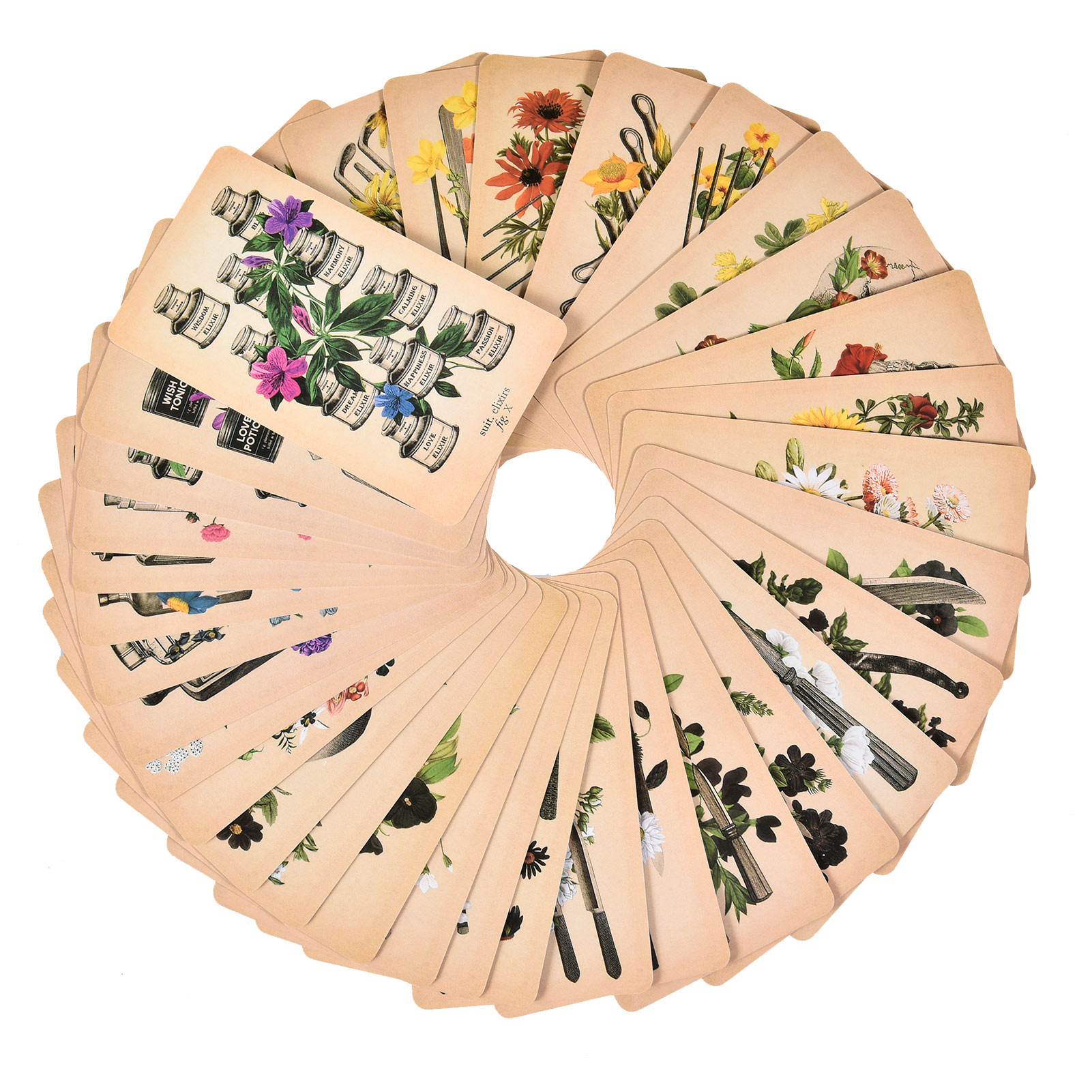 The Antique Anatomy Tarot Card - Tarot Deck With Guidebook 评论和价格
