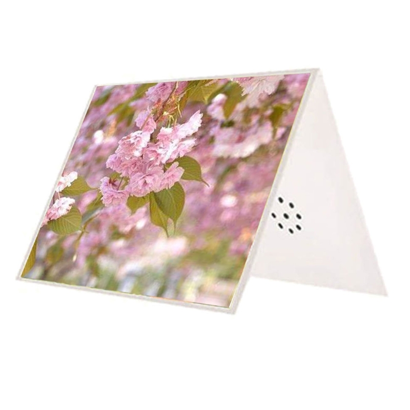 Talking Product, Writeable Gre - Blank Sheet Music Notebook 评论和价格